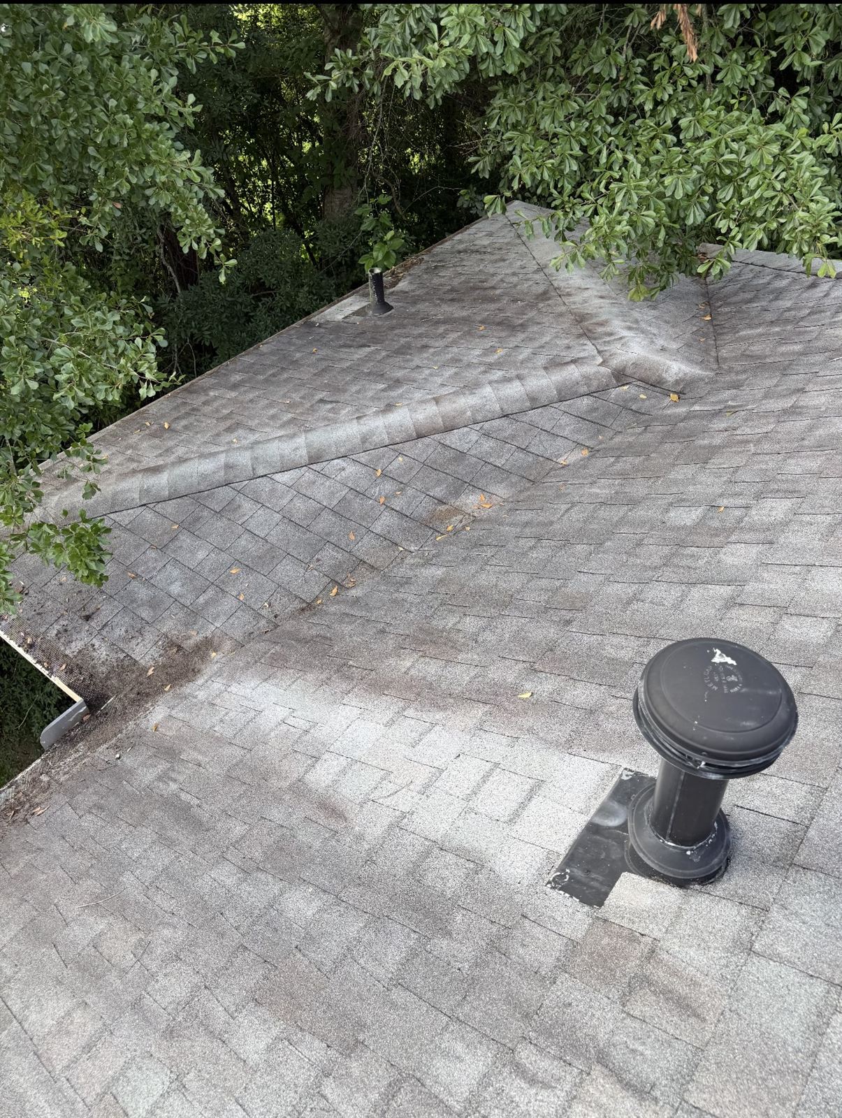 Dark algae-covered shingles before roof algae removal in Columbus, GA